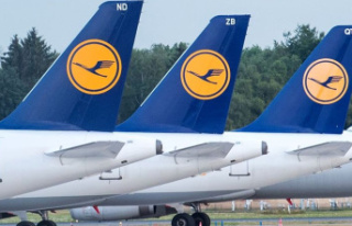 Labor dispute: Lufthansa pilots vote in ballot for...