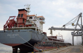 Odessa: First ship with grain leaves Ukrainian port
