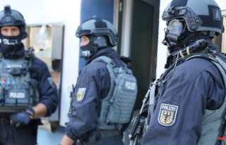 18 arrests in Germany: Police break up large smuggling...