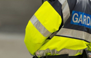 Garda is seriously injured in hit-and-run collision...