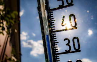 Heat in Europe: DWD: Heat records in six federal states...