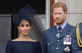 Prince Harry and Duchess Meghan: Alarm system goes...