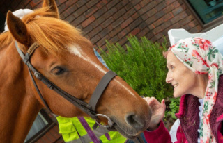 A terminally ill woman is reunited with her horse...
