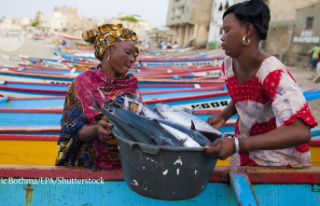 Small-scale sustainable fisheries can benefit both...