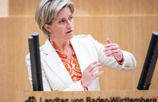 Baden-Württemberg: Criticism of cuts in funds for...