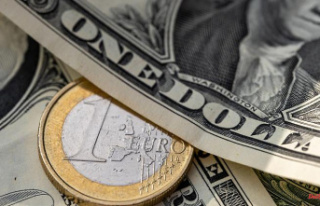 1 euro = 1 dollar: the euro-dollar parity and its...