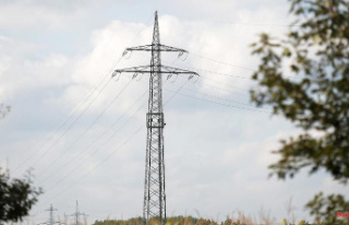 Simple idea with pitfalls: electricity pylons should...