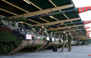 Ukraine not the largest customer: German arms exports...