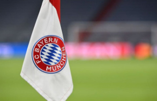 FC Bayern Munich: Effenberg praises transfers: Leipzig's...