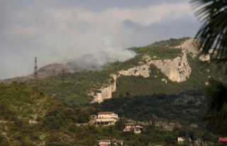 Flames in Italian seaside resort: Tourists flee forest...
