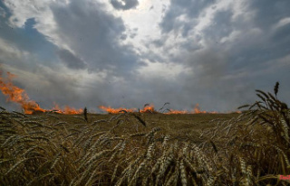 Food security: EU wants to ease sanctions on Russian...