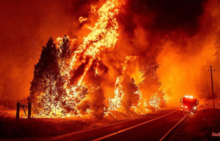 Blaze hell in California: Oak fire at Yosemite National...