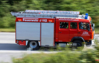 Hesse: forest fire near Geisenheim