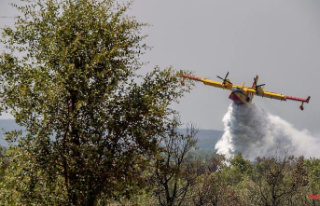 Heavy forest fires in Portugal: Pilot dies in crash...