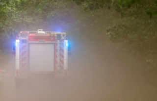 Villages evacuated due to severe forest fires in Brandenburg