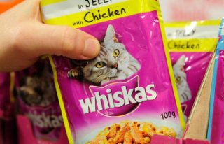 After price row, Whiskas pet food is removed from...