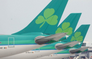Aer Lingus cancels flights after Covid absence