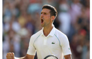 Wimbledon. Djokovic takes on earthy Kyrgios in the...