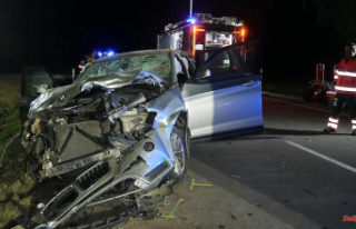 Baden-Württemberg: driver died after an accident...