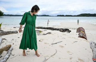 Visit to Palau: Baerbock calls the climate emergency...