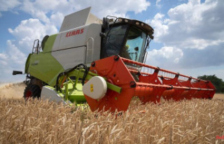 Russia exports more wheat: "The world needs the...