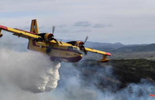 In the fight against forest fires: Germany continues...