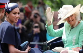 Duchess Camilla: Is she behind the racism scandal?