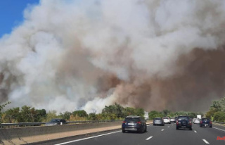 Firefighters injured: forest fires blaze in France...