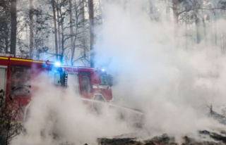 Fire: Fire spread in Elbe-Elster: situation "very...