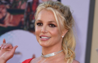 Lawyer achieves success: Britney Spears does not have...