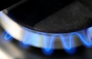 EU energy ministers discuss emergency gas plan