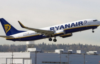 Ryanair steward Sam Thompson admitted to drinking...