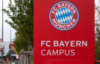 Nine-year-old comes from Mainz: FC Bayern justifies...