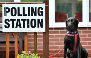 General Election: When will the next one be held?...