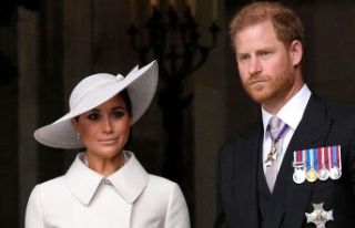 Harry and Meghan's villa: Two burglary attempts...