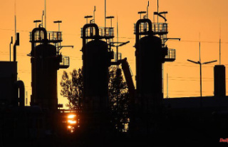 Customs papers from Gazprom are missing: Siemens Energy:...