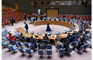 Diplomacy. The UN Security Council opens talks on...