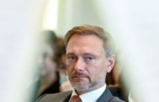 Lobbying: Lindner: "One phone call" with...