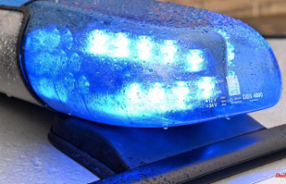 Baden-Württemberg: 89-year-old killed and set on...
