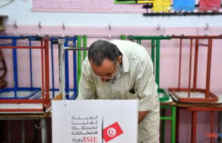 Tunisians vote on a controversial Constitution