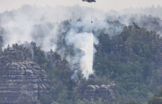 Forest fires: Huge plumes of smoke over Saxon Switzerland