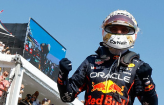 Formula 1: Leclerc helps Verstappen to win France...