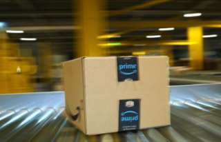 Mail order company: Amazon makes Prime subscriptions...