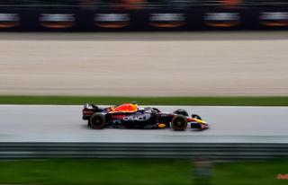 Ferrari drivers in a hot duel: Hamilton stops Schumacher...