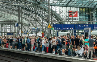 State of Deutsche Bahn: Unions: "The 9-euro ticket...