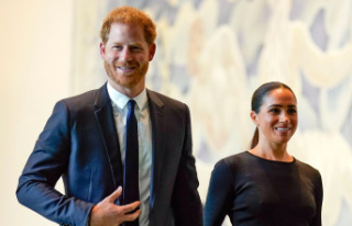Memoirs expected by the end of the year: Prince Harry's...