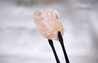 "Lulo Rose": Largest pink rough diamond...