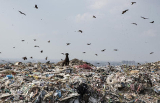 India bans single-use plastics to prevent them from...