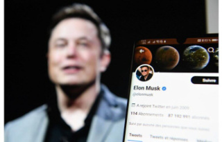 Social networks. Elon Musk threatens to take over...