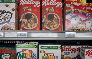 High Court rejects lawsuit: Kellogg's does not...